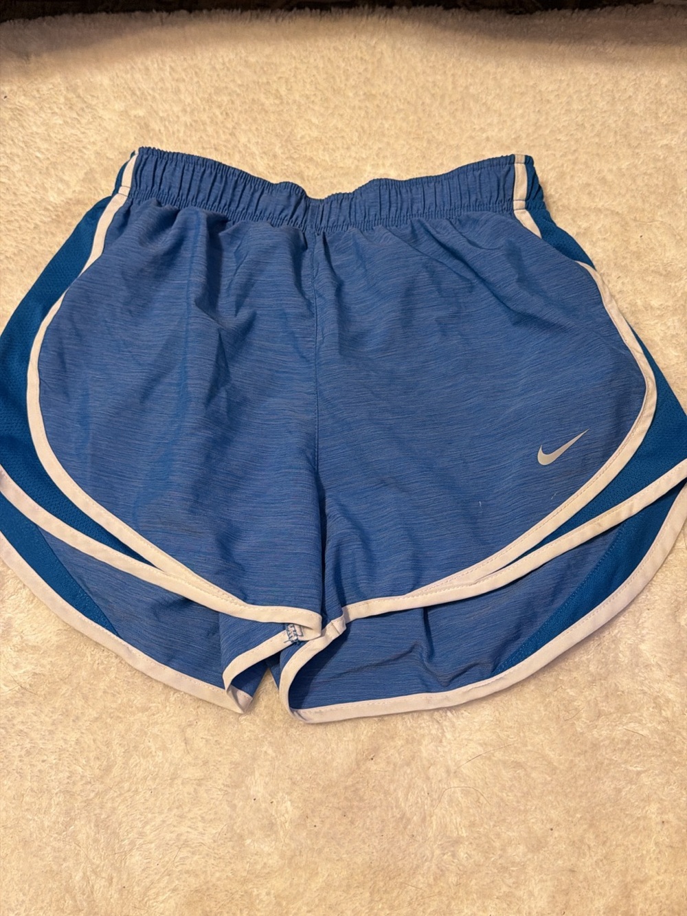 Nike Dri-fit Women's Blue Athletic Shorts